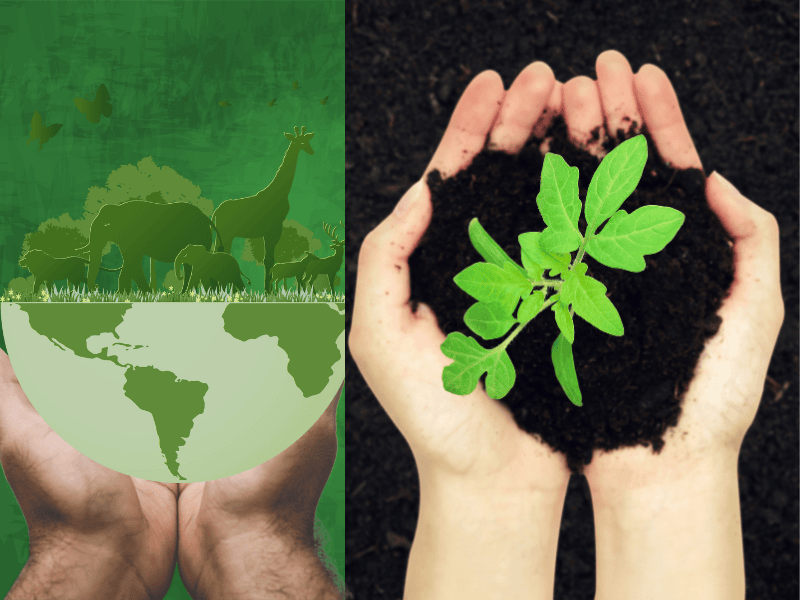 eco-environment protection